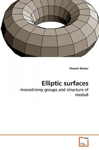 Kniha Elliptic surfaces Tihomir Petrov
