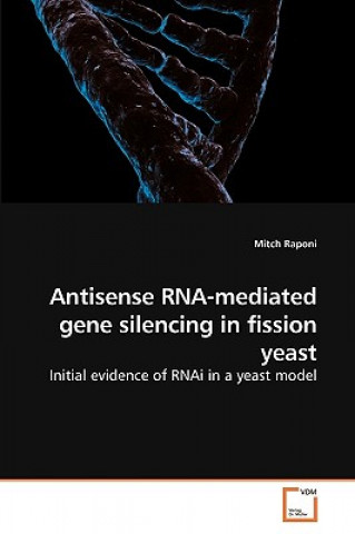 Książka Antisense RNA-mediated gene silencing in fission yeast Mitch Raponi