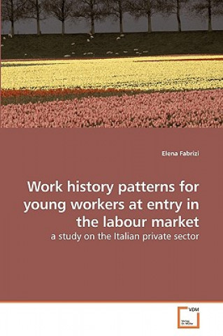 Könyv Work history patterns for young workers at entry in the labour market Elena Fabrizi