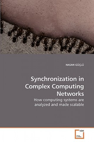 Knjiga Synchronization in Complex Computing Networks Hasan Güclü