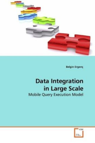 Knjiga Data Integration in Large Scale Belgin Ergenç