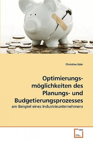 Könyv Optimierungs- moeglichkeiten des Planungs- und Budgetierungsprozesses Christine Eder