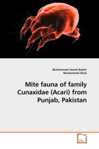 Kniha Mite fauna of family Cunaxidae (Acari) from Punjab, Pakistan Muhammad Hamid Bashir