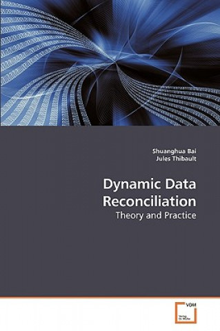 Könyv Dynamic Data Reconciliation Shuanghua Bai