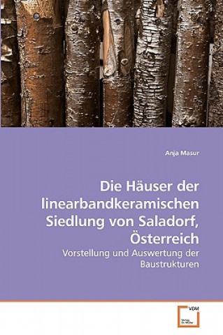 Carte Hauser der linearbandkeramischen Siedlung von Saladorf, OEsterreich Anja Masur
