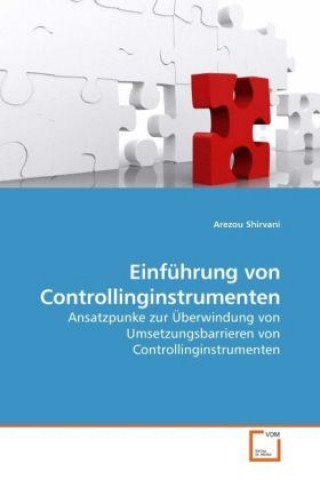 Buch Einführung von Controllinginstrumenten Arezou Shirvani