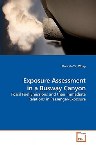 Kniha Exposure Assessment in a Busway Canyon Maricela Yip Wong