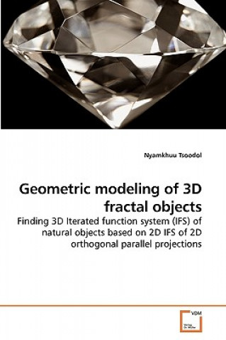 Kniha Geometric modeling of 3D fractal objects Nyamkhuu Tsoodol