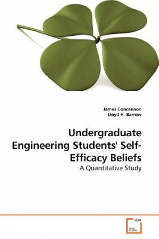 Kniha Undergraduate Engineering Students' Self-Efficacy Beliefs James Concannon