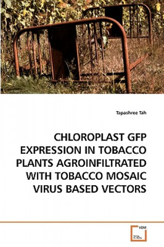 Carte Chloroplast Gfp Expression in Tobacco Plants Agroinfiltrated with Tobacco Mosaic Virus Based Vectors Tapashree Tah