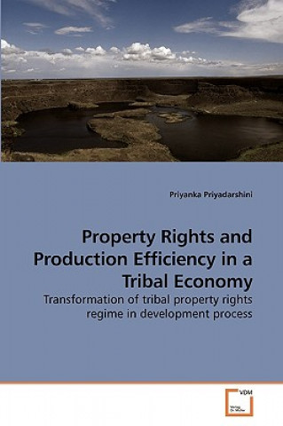 Könyv Property Rights and Production Efficiency in a Tribal Economy Priyanka Priyadarshini