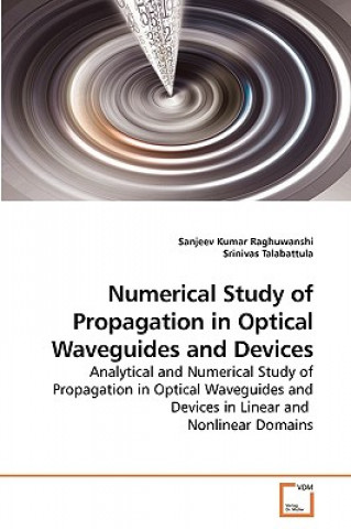 Βιβλίο Numerical Study of Propagation in Optical Waveguides and Devices Sanjeev Kumar Raghuwanshi