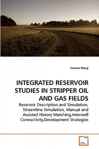 Книга Integrated Reservoir Studies in Stripper Oil and Gas Fields Jianwei Wang