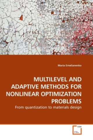 Kniha MULTILEVEL AND ADAPTIVE METHODS FOR NONLINEAR OPTIMIZATION PROBLEMS Maria Emelianenko