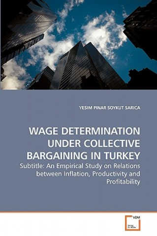 Buch Wage Determination Under Collective Bargaining in Turkey Yesim P. Soykut Sarica