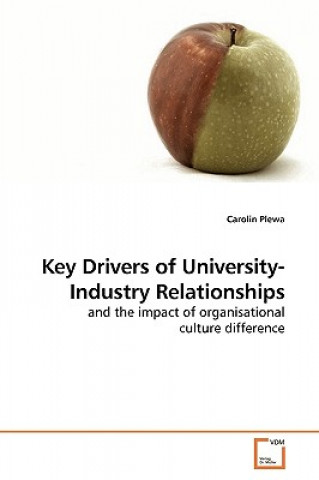 Kniha Key Drivers of University-Industry Relationships Carolin Plewa