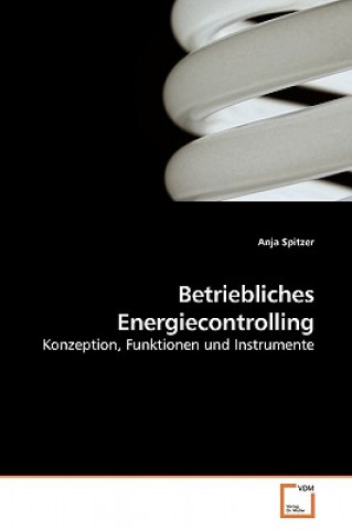 Książka Betriebliches Energiecontrolling Anja Spitzer