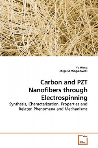 Kniha Carbon and PZT Nanofibers through Electrospinning Yu Wang