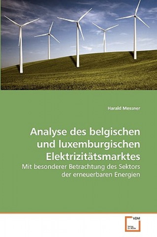 Könyv Analyse des belgischen und luxemburgischen Elektrizitatsmarktes Harald Messner