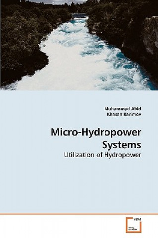 Kniha Micro-Hydropower Systems Muhammad Abid