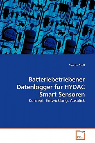 Könyv Batteriebetriebener Datenlogger fur HYDAC Smart Sensoren Sascha Groß