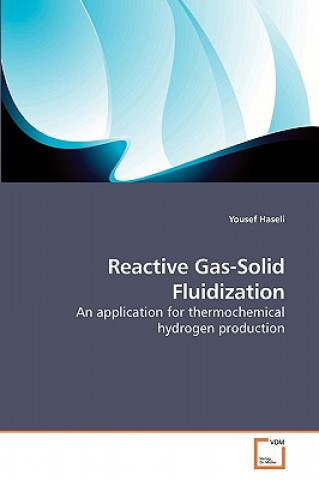 Knjiga Reactive Gas-Solid Fluidization Yousef Haseli