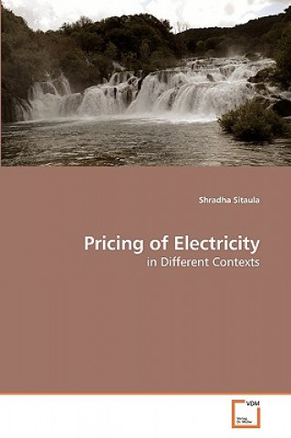 Kniha Pricing of Electricity Shradha Sitaula