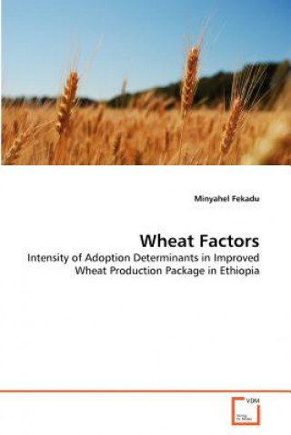 Carte Wheat Factors Minyahel Fekadu
