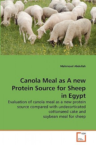 Kniha Canola Meal as A new Protein Source for Sheep in Egypt Mahmoud Abdullah
