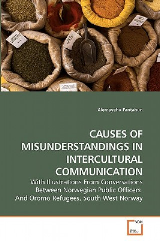 Kniha Causes of Misunderstandings in Intercultural Communication Alemayehu Fantahun