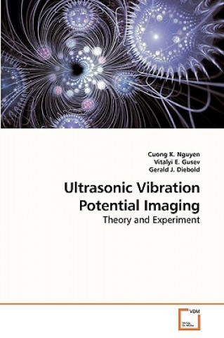 Kniha Ultrasonic Vibration Potential Imaging Cuong K. Nguyen