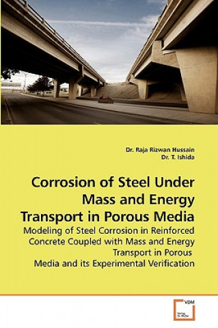 Könyv Corrosion of Steel Under Mass and Energy Transport in Porous Media Raja R. Hussain