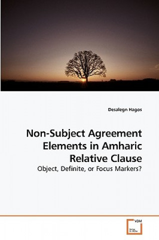 Kniha Non-Subject Agreement Elements in Amharic Relative Clause Desalegn Hagos