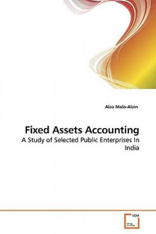 Книга Fixed Assets Accounting Alaa Malo-Alain