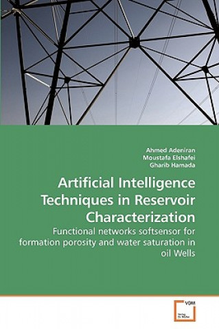 Kniha Artificial Intelligence Techniques in Reservoir Characterization Ahmed Adeniran