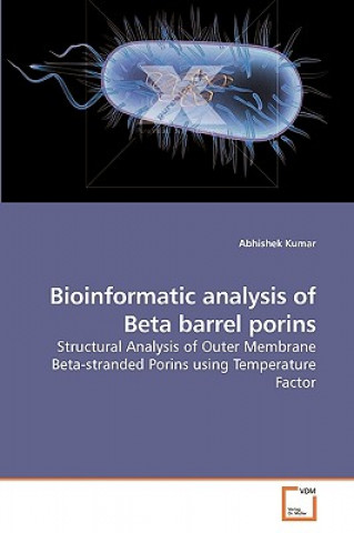 Könyv Bioinformatic analysis of Beta barrel porins Abhishek Kumar