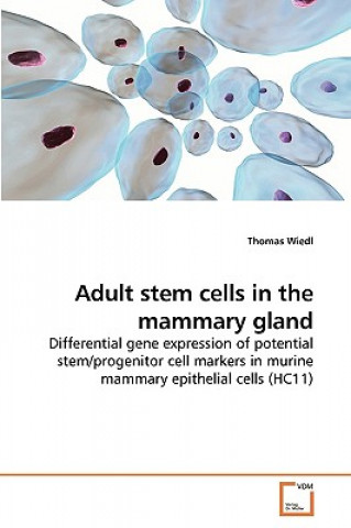 Carte Adult stem cells in the mammary gland Thomas Wiedl