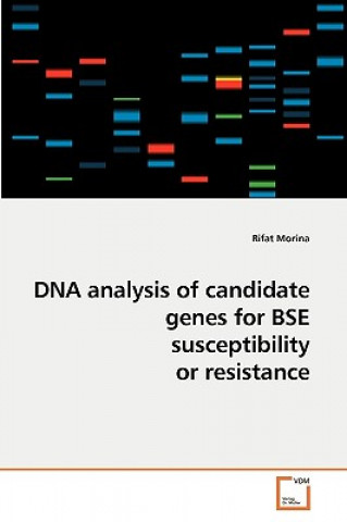 Könyv DNA analysis of candidate genes for BSE susceptibility or resistance Rifat Morina