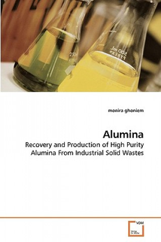 Könyv Alumina Monira Ghoniem