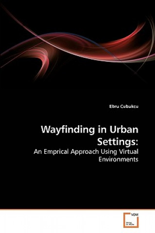 Kniha Wayfinding in Urban Settings Ebru Cubukcu
