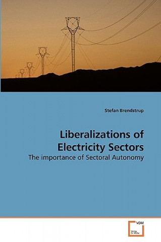 Kniha Liberalizations of Electricity Sectors Stefan Brendstrup