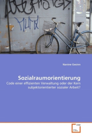 Książka Sozialraumorientierung Nanine Gesinn