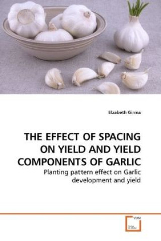 Carte THE EFFECT OF SPACING ON YIELD AND YIELD COMPONENTS OF GARLIC Elzabeth Girma