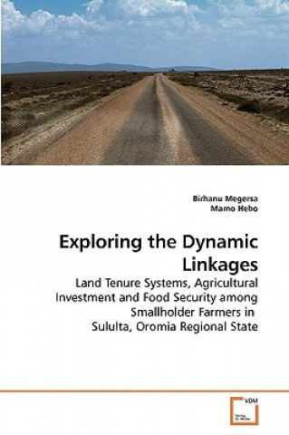 Книга Exploring the Dynamic Linkages Birhanu Megersa