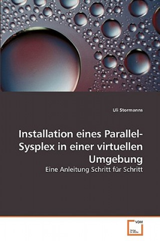 Carte Installation eines Parallel-Sysplex in einer virtuellen Umgebung Uli Stormanns