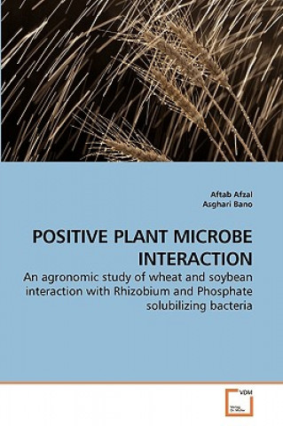 Βιβλίο Positive Plant Microbe Interaction Aftab Afzal