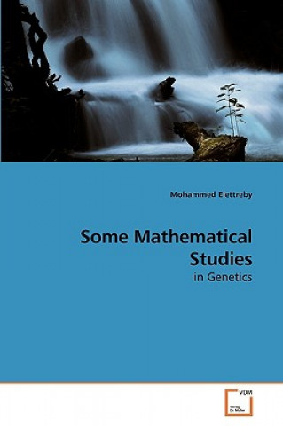 Knjiga Some Mathematical Studies Mohammed Elettreby