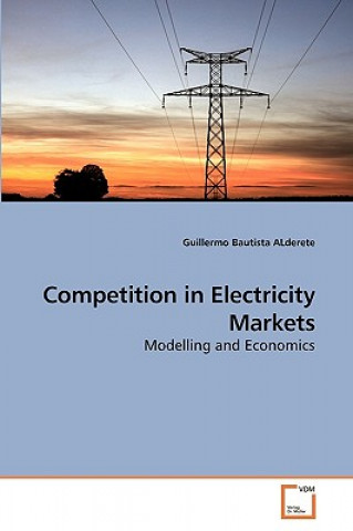 Kniha Competition in Electricity Markets Guillermo Bautista ALderete