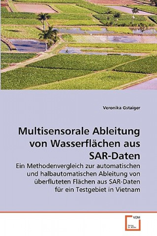 Könyv Multisensorale Ableitung von Wasserflachen aus SAR-Daten Veronika Gstaiger