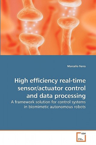 Książka High efficiency real-time sensor/actuator control and data processing Marcello Ferro